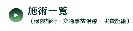 施術一覧（保険施術・交通事故治療・実費施術）